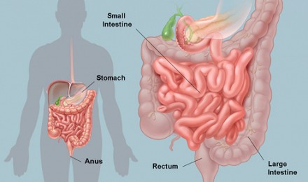 Información sobre la Irrigación de Colon